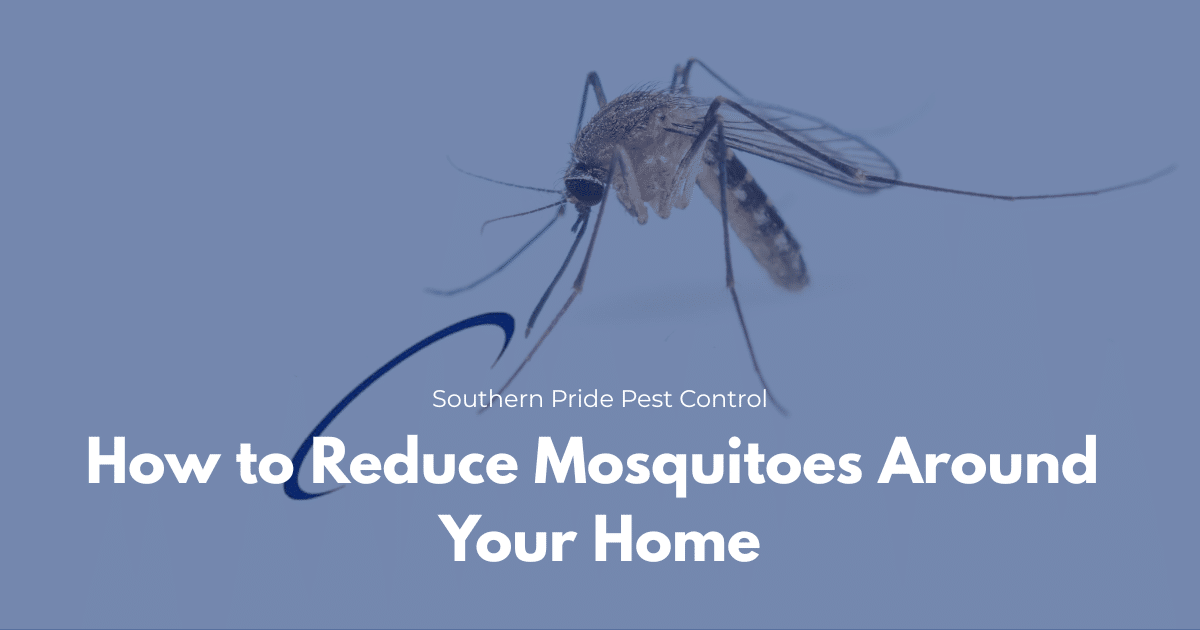 Reduce mosquitos around your home